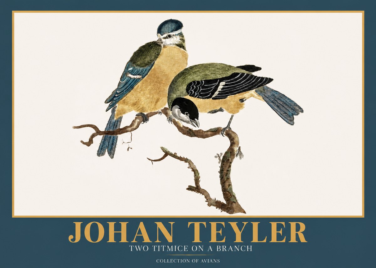 Johan Teyler Two Titmice on a Branch No2 - Plakat