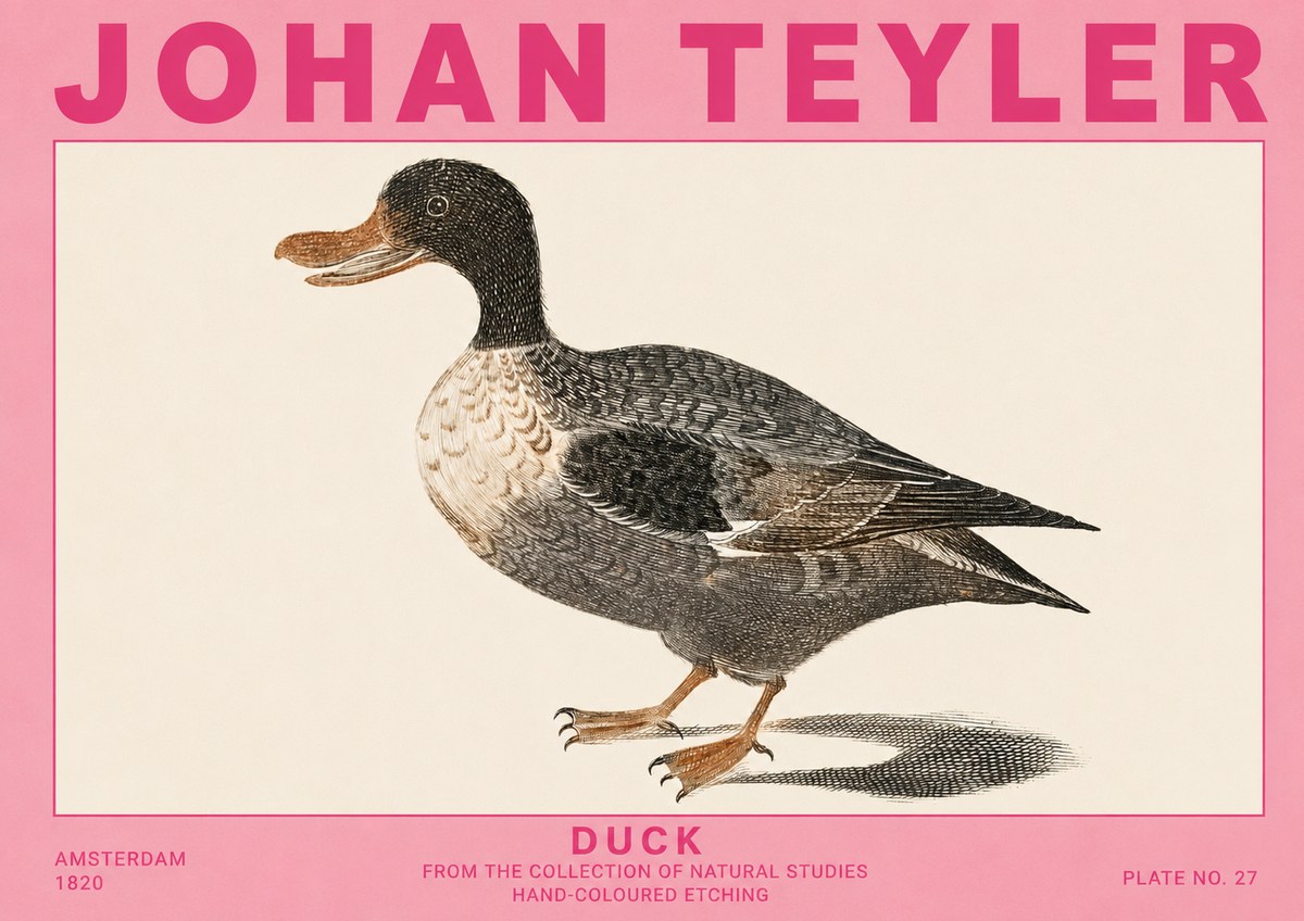 Johan Teyler Duck I No5 - Plakat