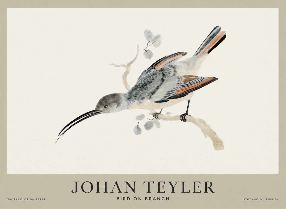 Johan Teyler Bird on Branch I No1 - Plakat
