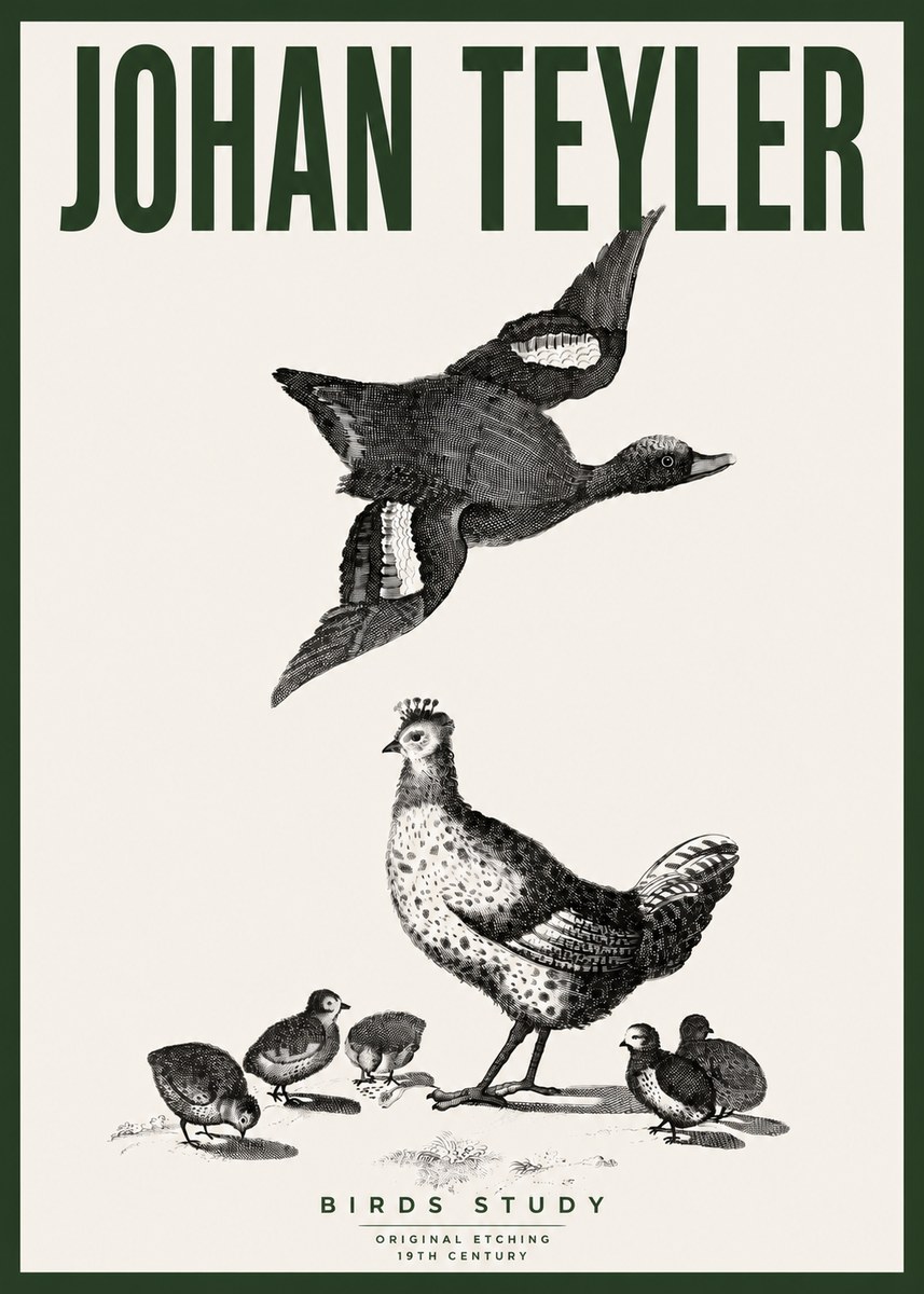 Johan Teyler Birds Study No4 - Plakat