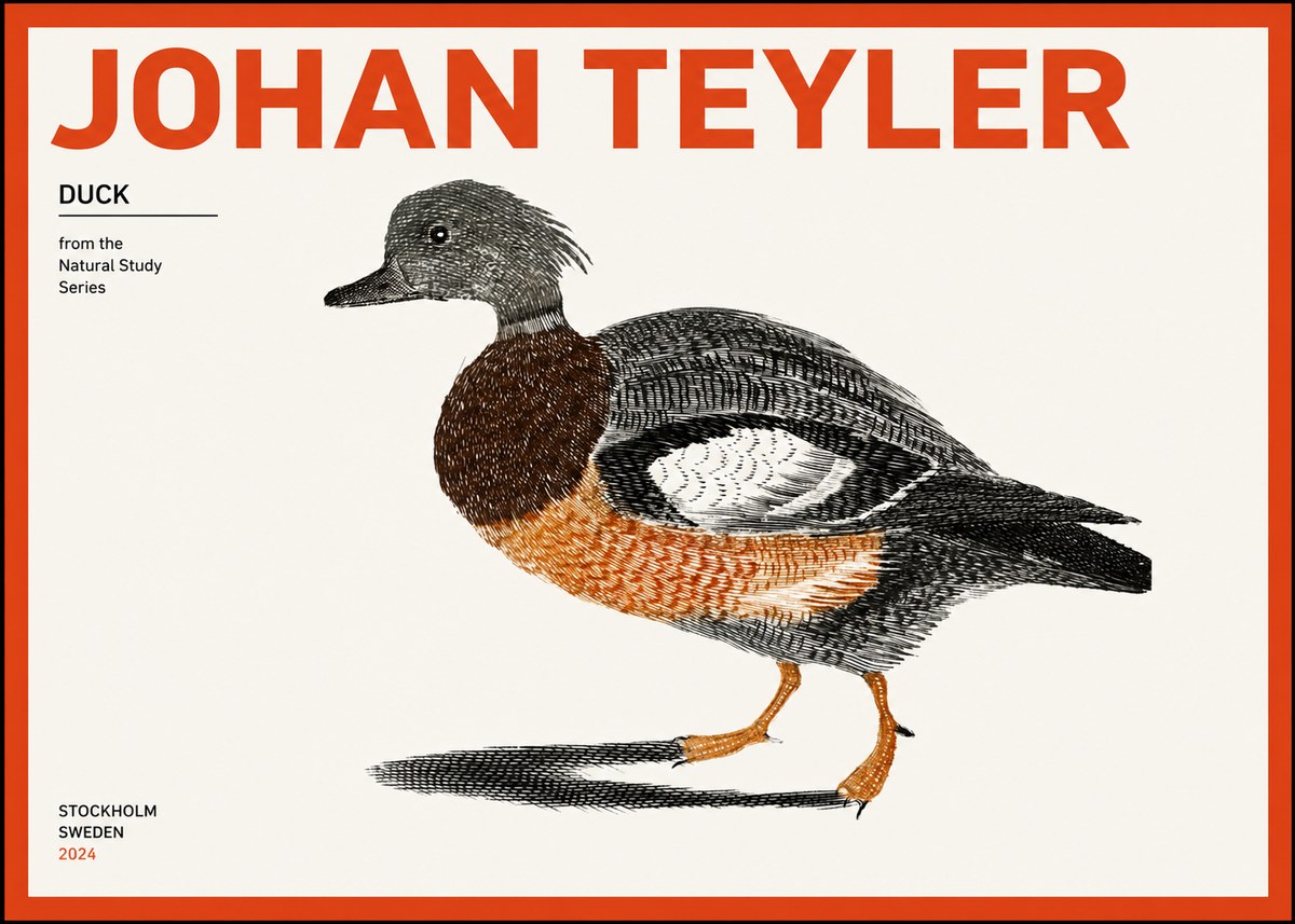 Johan Teyler Duck II No2 - Plakat