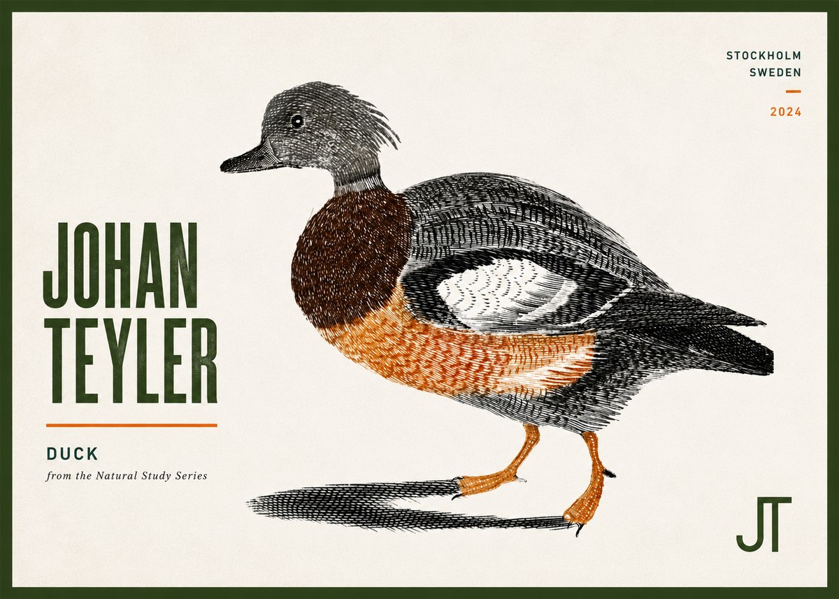 Johan Teyler Duck II No6 - Plakat