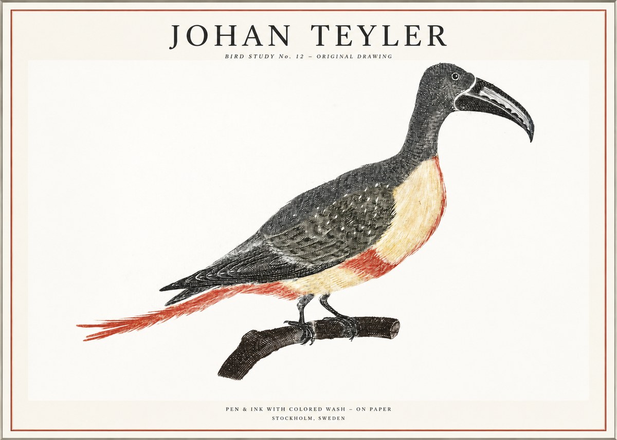 Johan Teyler Bird Study No. 12 - Original Drawing No1 - Plakat