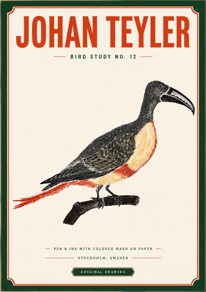 Johan Teyler Bird Study No. 12 - Original Drawing No3 - Plakat