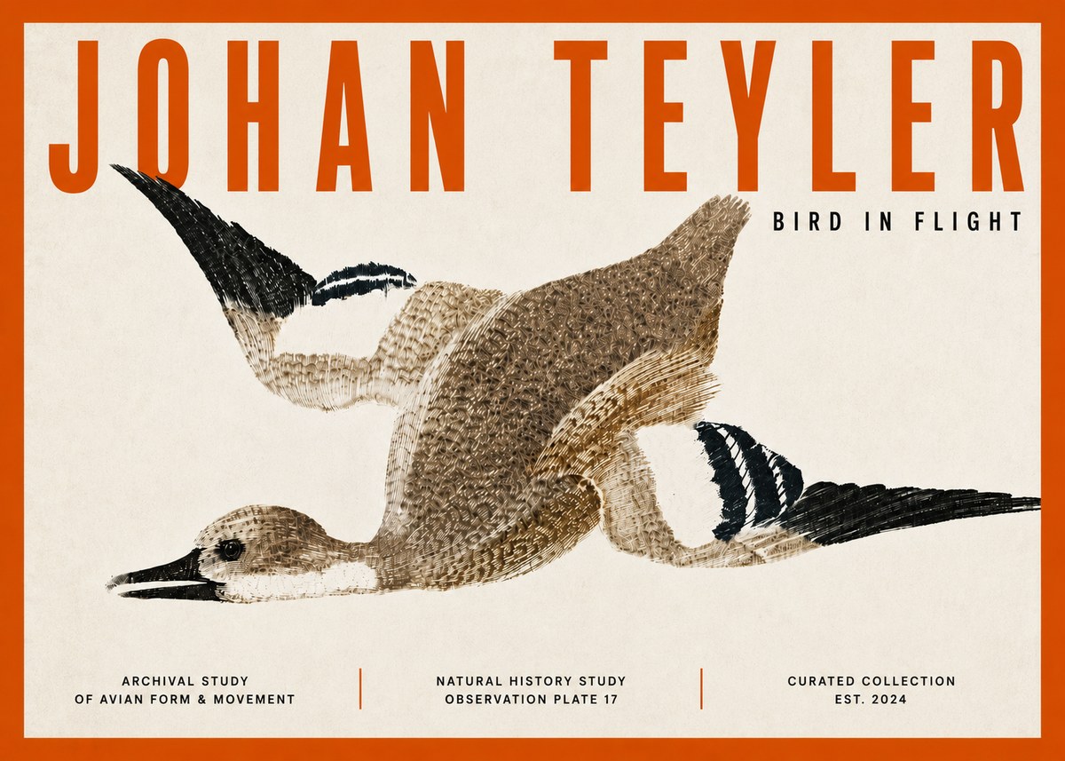 Johan Teyler Bird in Flight II No5 - Plakat