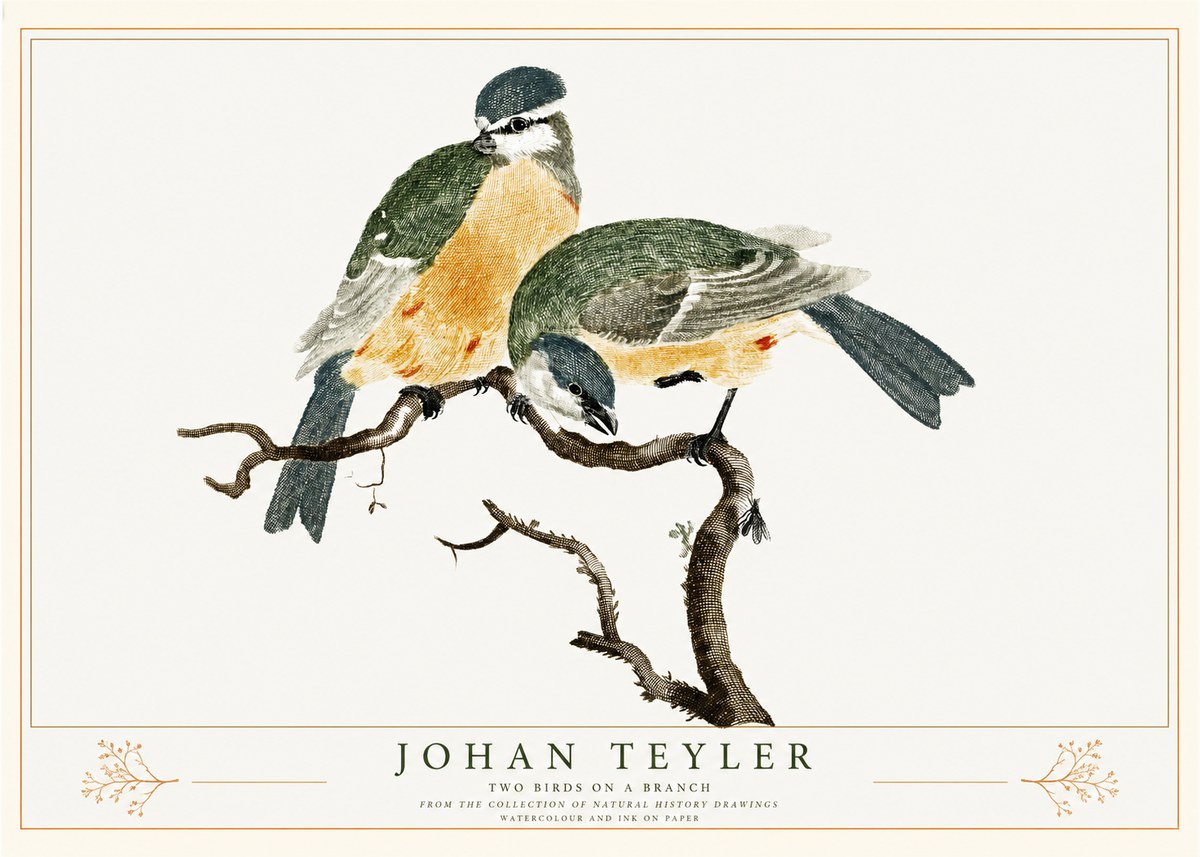 Johan Teyler Two Birds on a Branch No2 - Plakat