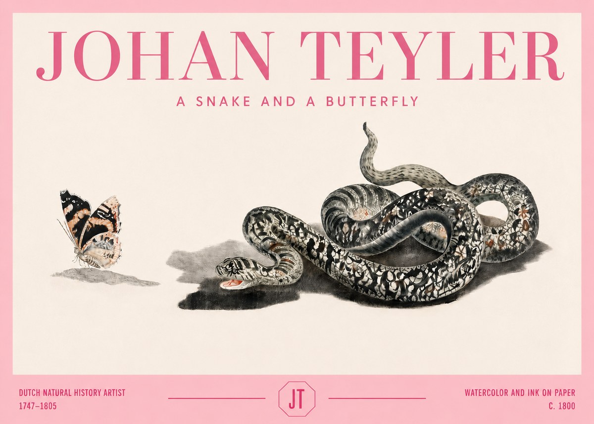 Johan Teyler Snake and Butterfly No4 - Plakat