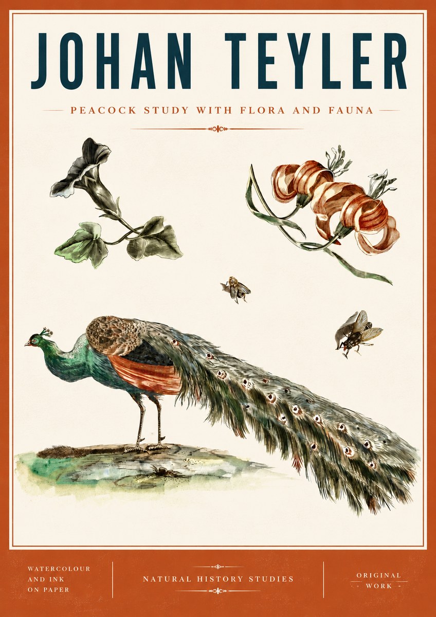 Johan Teyler Peacock Study with Flora and Fauna No6 - Plakat