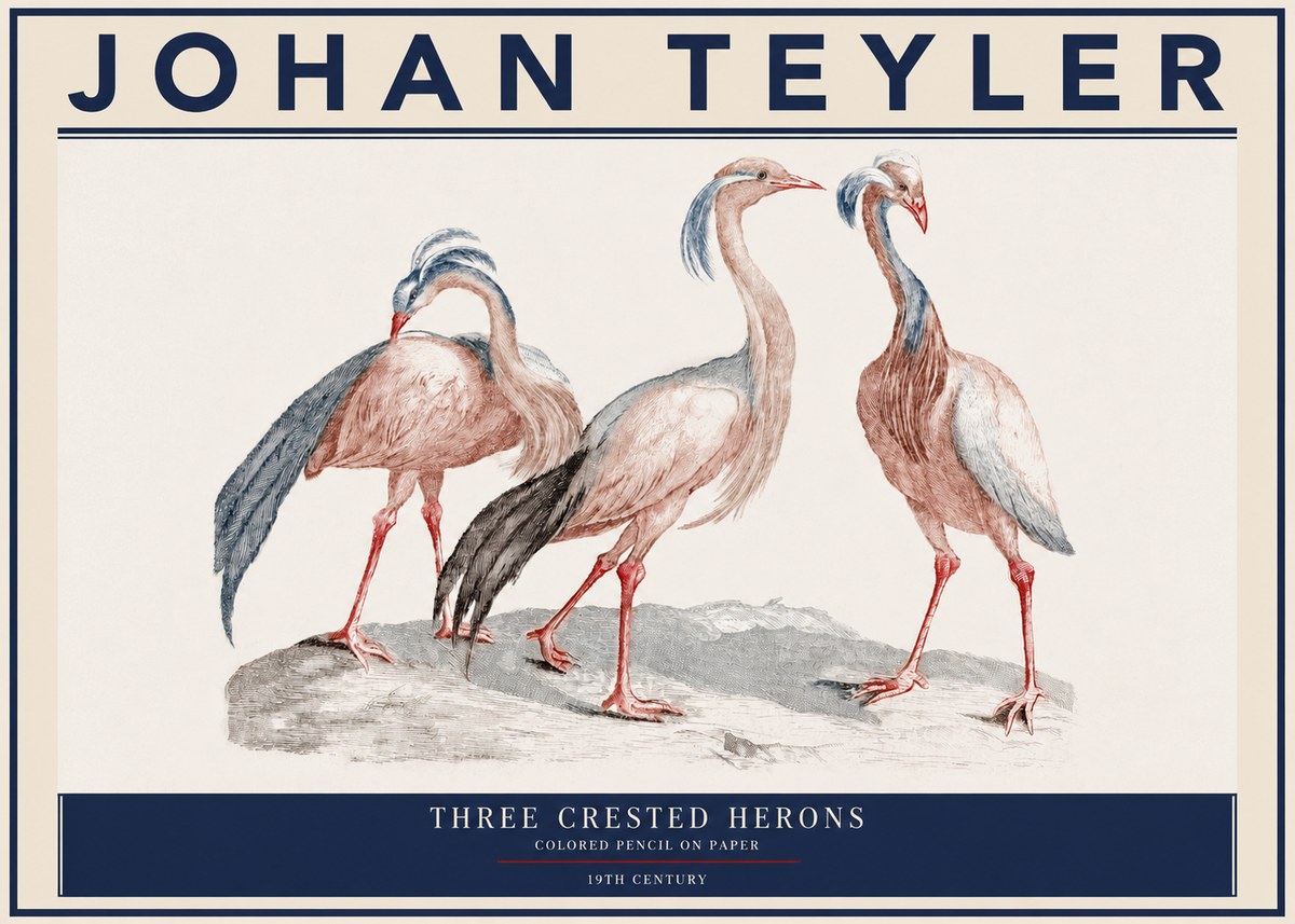 Johan Teyler Three Crested Herons No3 - Plakat