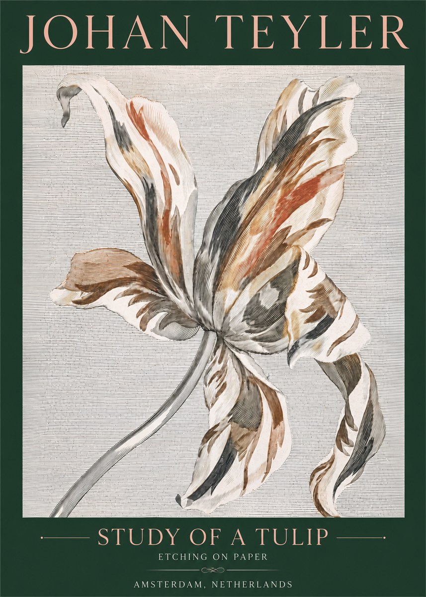 Johan Teyler Study of a Tulip No4 - Plakat