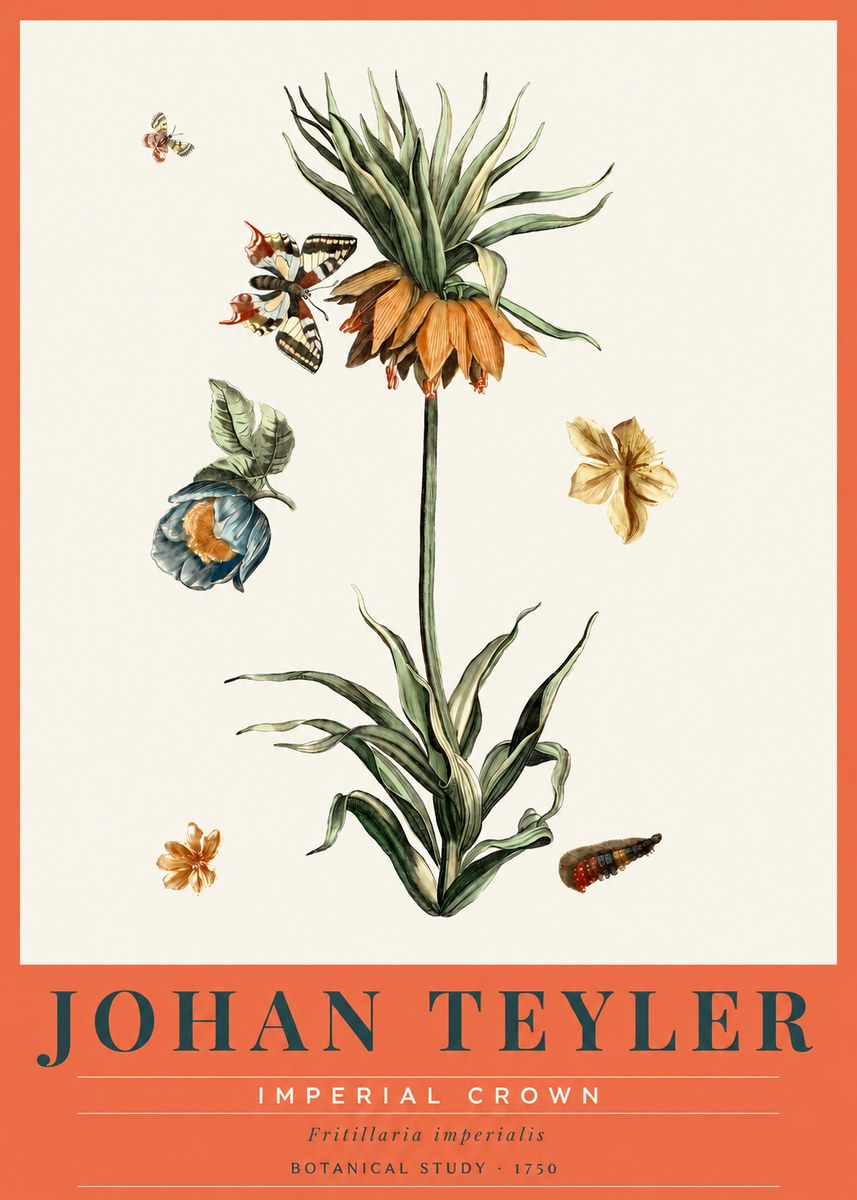 Johan Teyler Crown Imperial No3 - Plakat