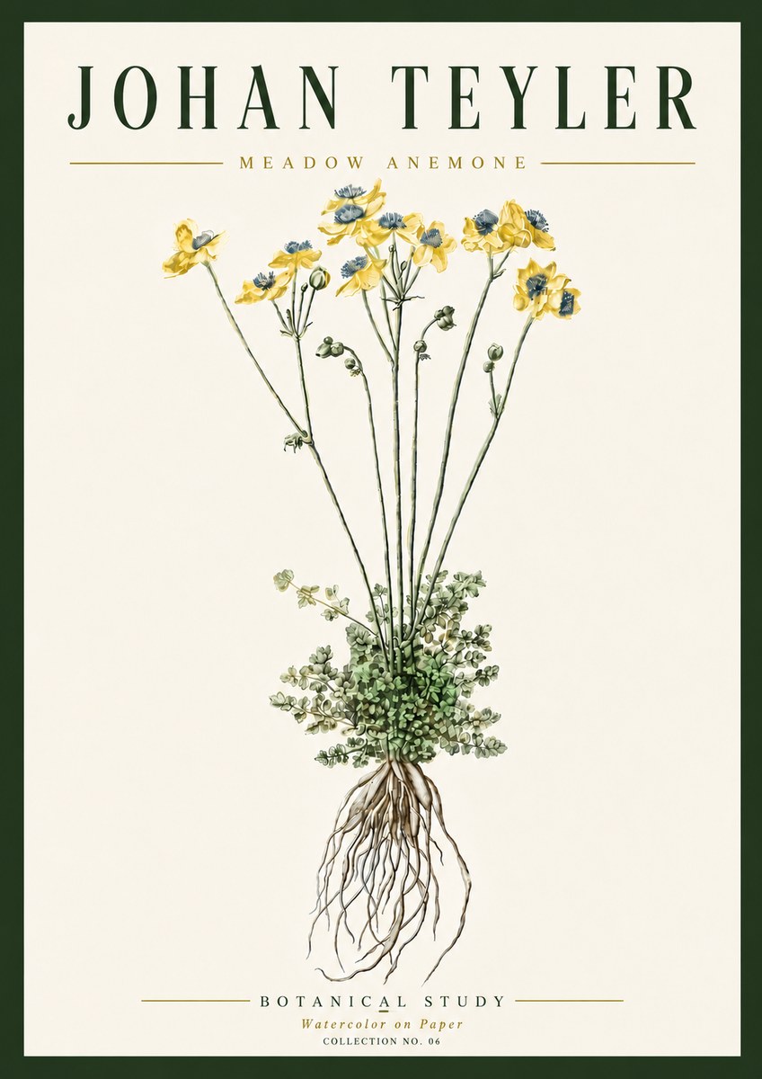 Johan Teyler Meadow Anemone No6 - Plakat