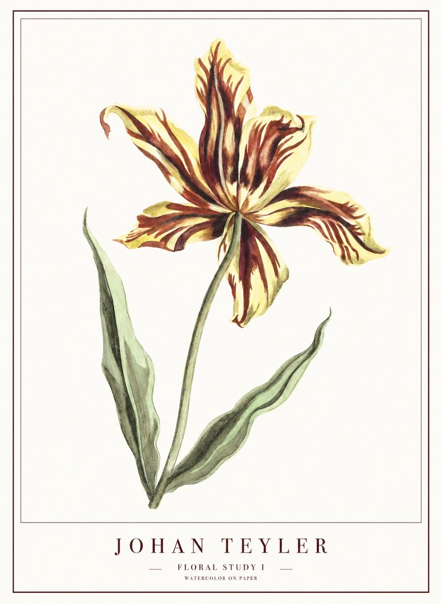 Johan Teyler Floral Study I No1 - Plakat