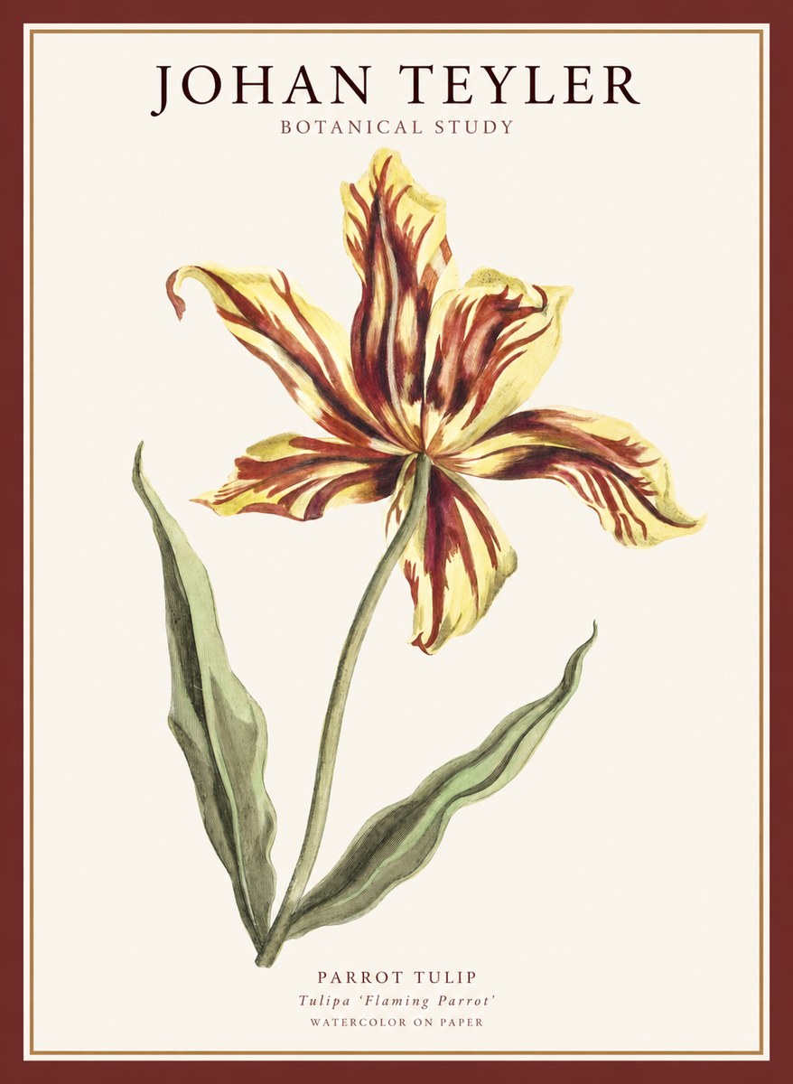 Johan Teyler Floral Study I No5 - Plakat
