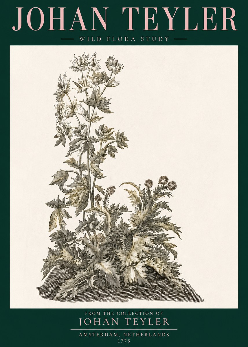 Johan Teyler Wild Flora Study No3 - Plakat