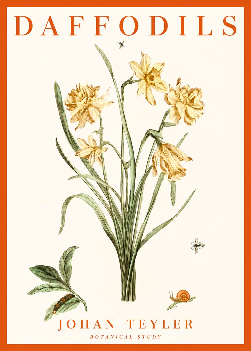 Johan Teyler Daffodils No2 - Plakat