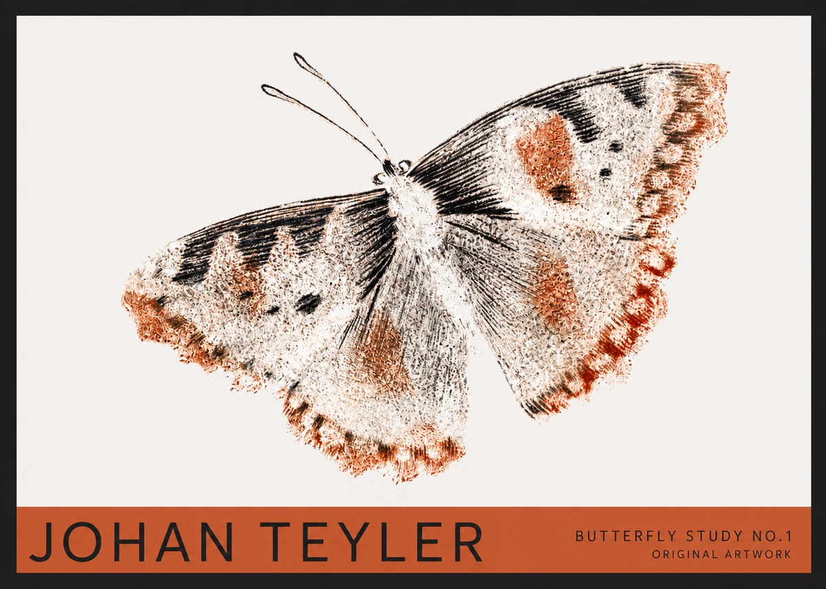 Johan Teyler Butterfly Study No.1 No2 - Plakat
