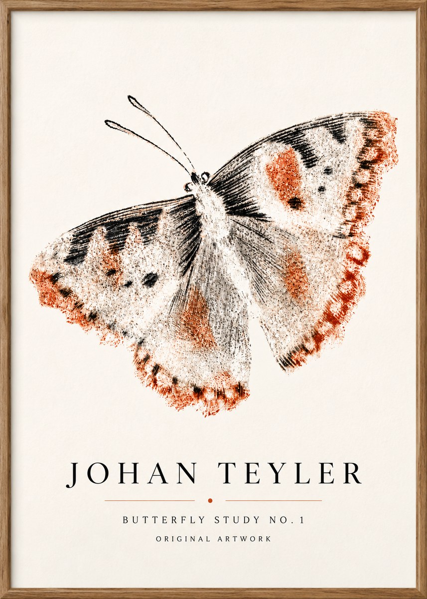 Johan Teyler Butterfly Study No.1 No5 - Plakat