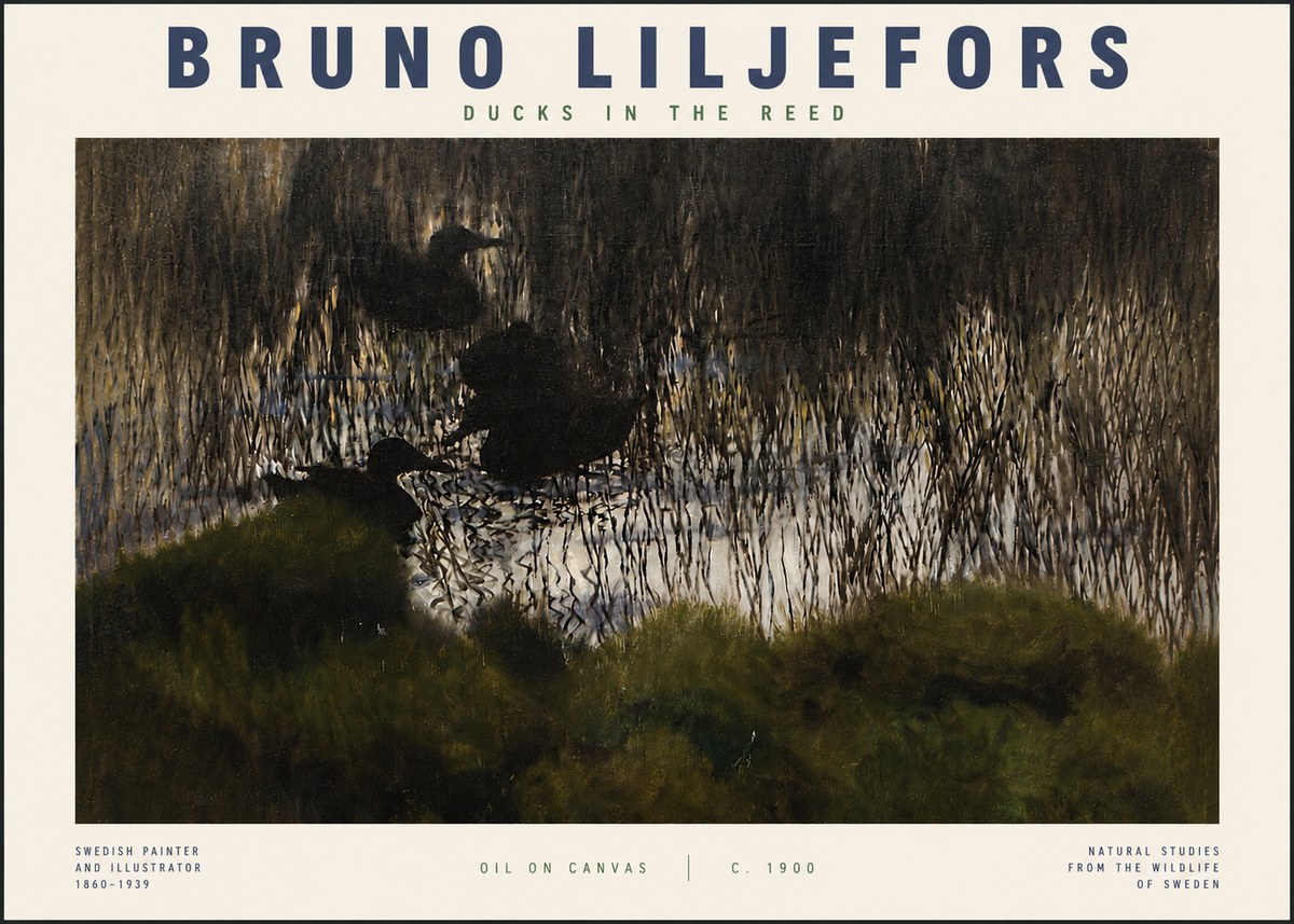 Bruno Liljefors Ducks in the Reed No4 - Plakat