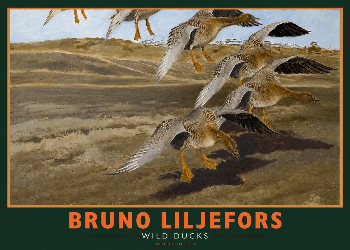 Bruno Liljefors Wild Ducks I No2 - Plakat