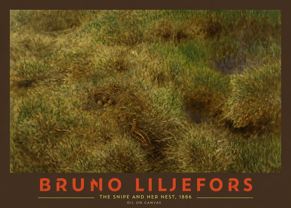 Bruno Liljefors The Snipe and Her Nest No2 - Plakat