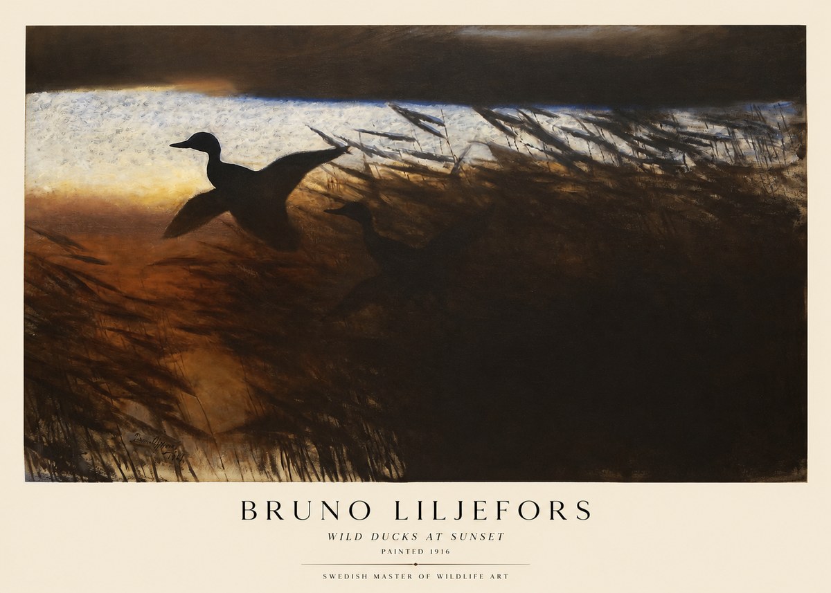 Bruno Liljefors Wild Ducks II No5 - Plakat