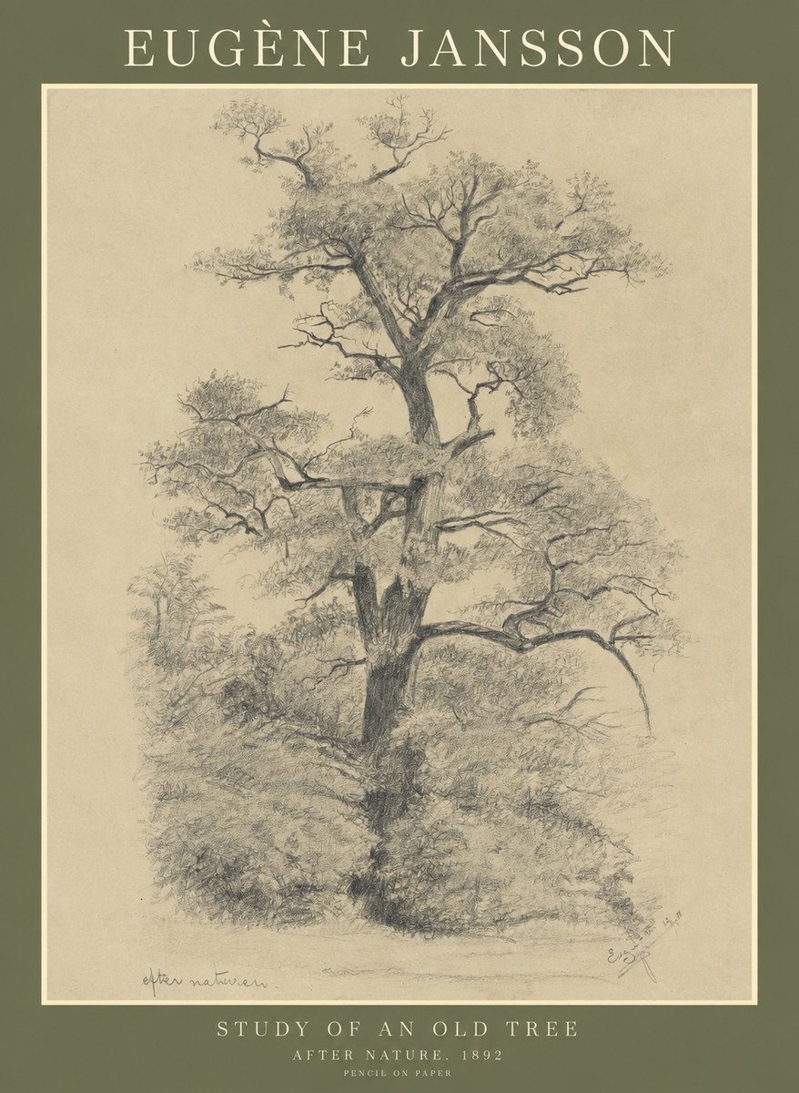 Eugène Jansson Study of an Old Tree No1 - Plakat