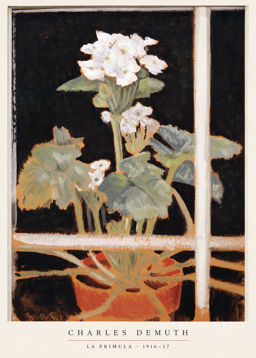 Charles Demuth La Primula No6 - Plakat
