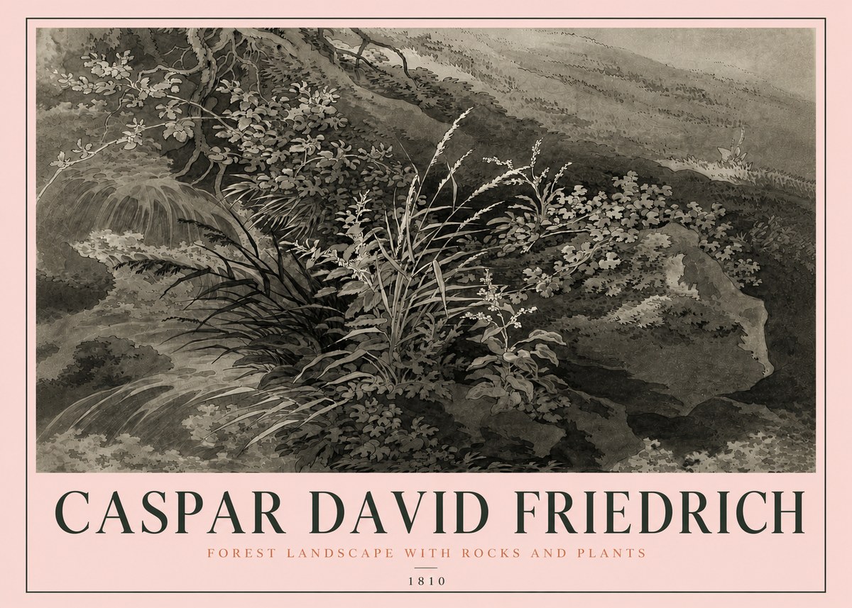 Caspar David Friedrich Forest Landscape with Rocks and Plants No4 - Plakat