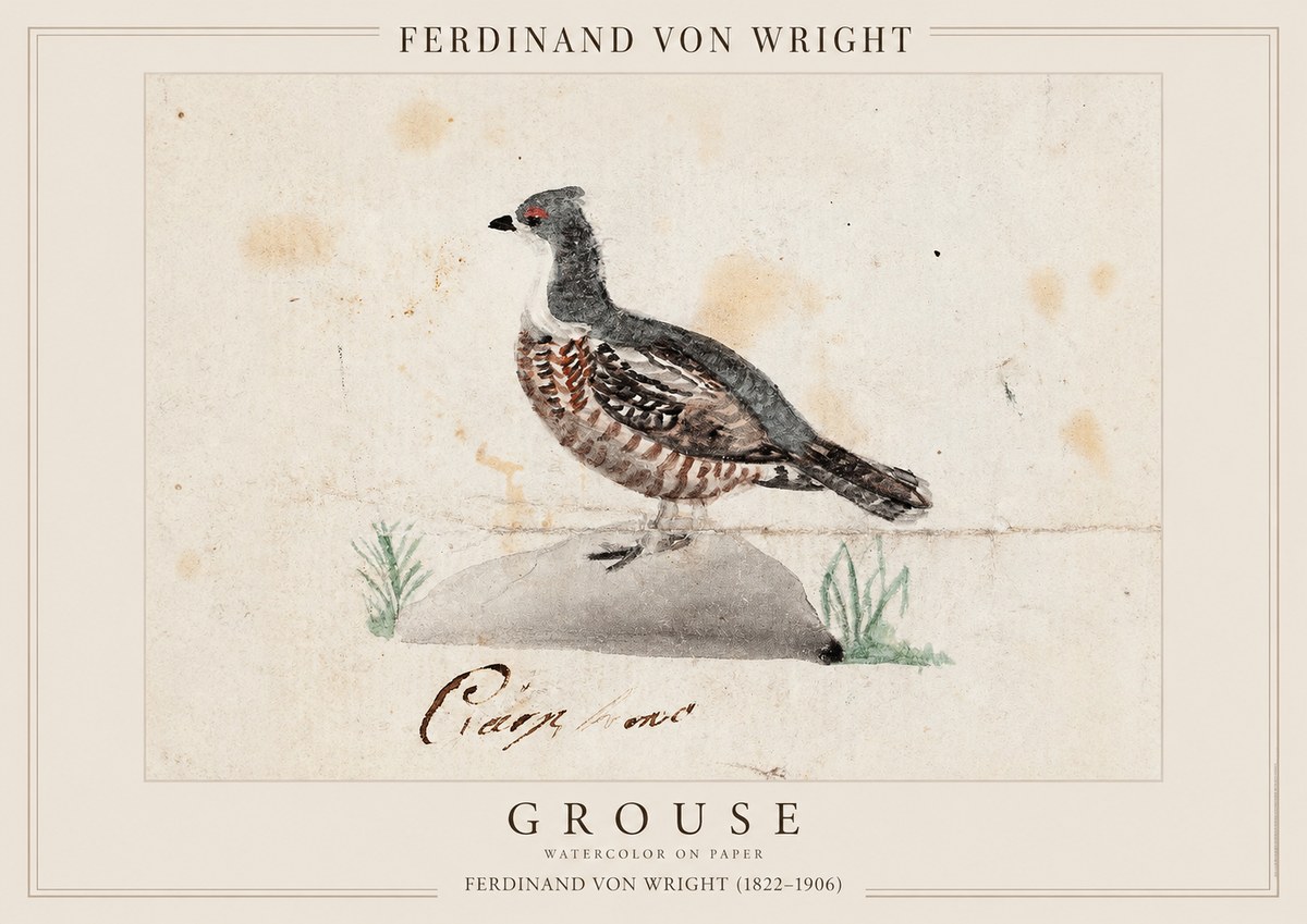 Ferdinand von Wright Grouse No1 - Plakat