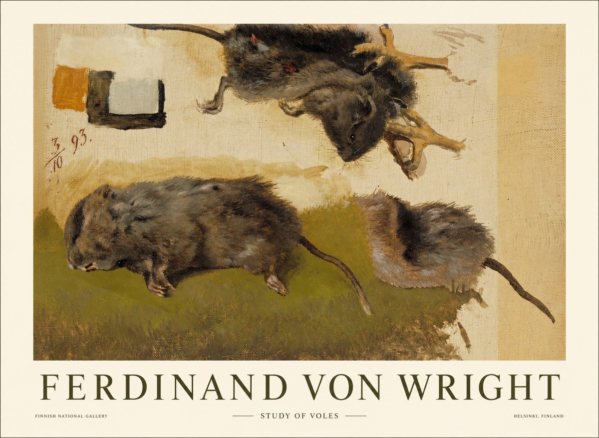 Ferdinand von Wright Studies of Lemmings No2 - Plakat