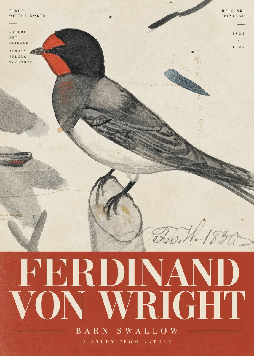 Ferdinand von Wright The Swallow No6 - Plakat