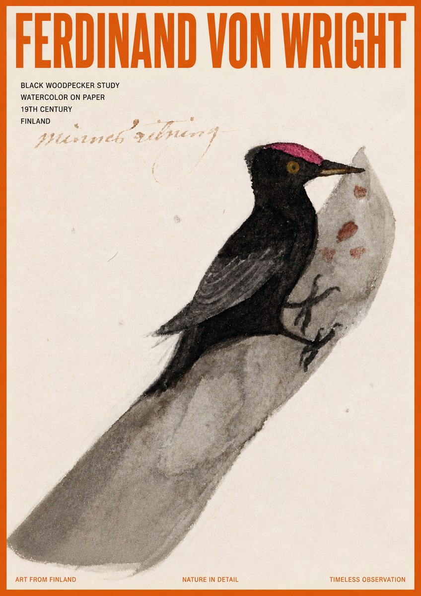 Ferdinand von Wright Black Woodpecker Study No5 - Plakat