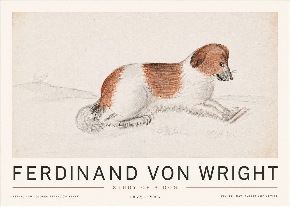 Ferdinand von Wright Study of a Dog No6 - Plakat